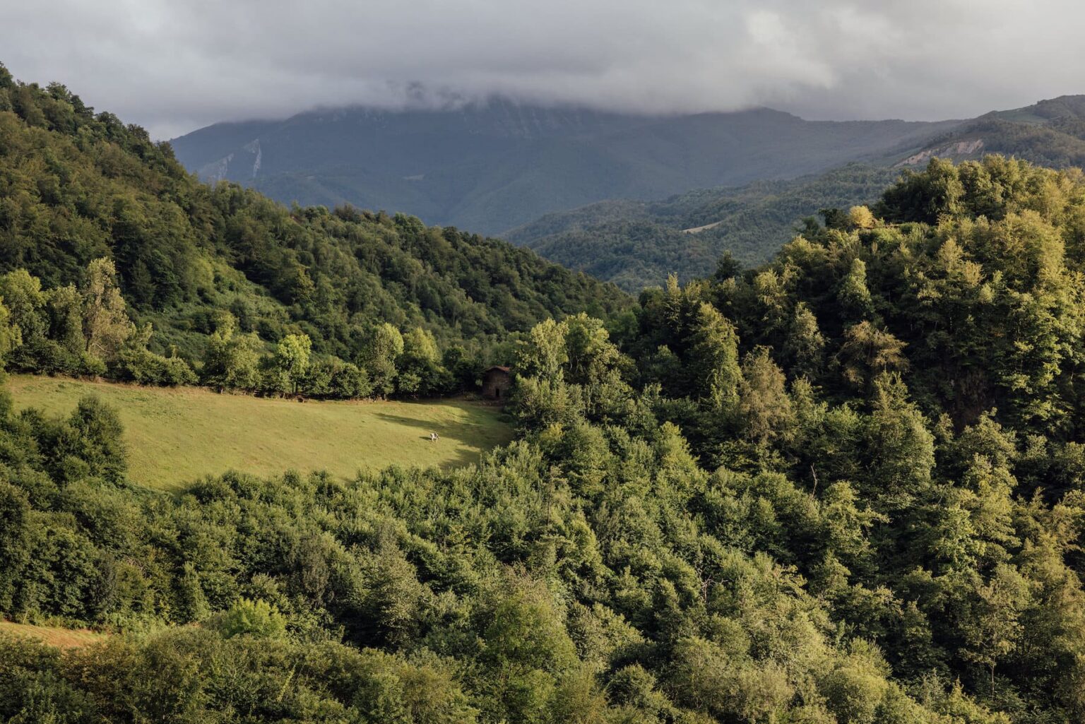 Select Green Hotels Solo Palacio views national park views las ubiñas asturias