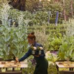 Select Green Hotel echo Milano Business Travel