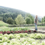 Select Green Hotels Tauber's Bio Vitalhotel