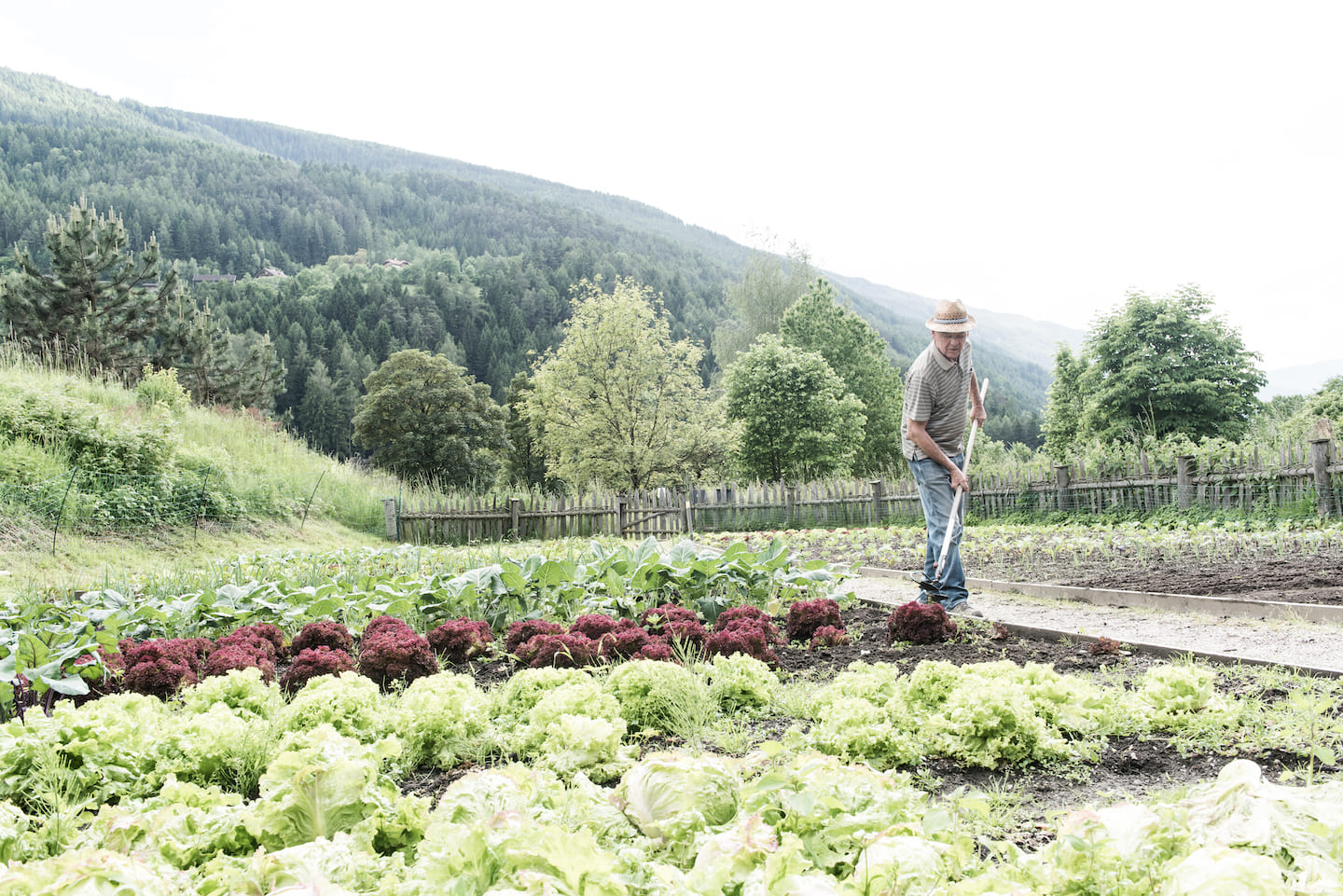 Select Green Hotels Tauber's Bio Vitalhotel vegetable garden