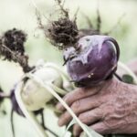 Select Green Hotels Tauber's Bio Vitalhotel healthy vegetables