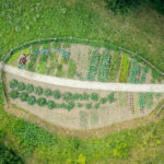 Select Green Hotels Tauber's Bio Vitalhotel vegetable garden