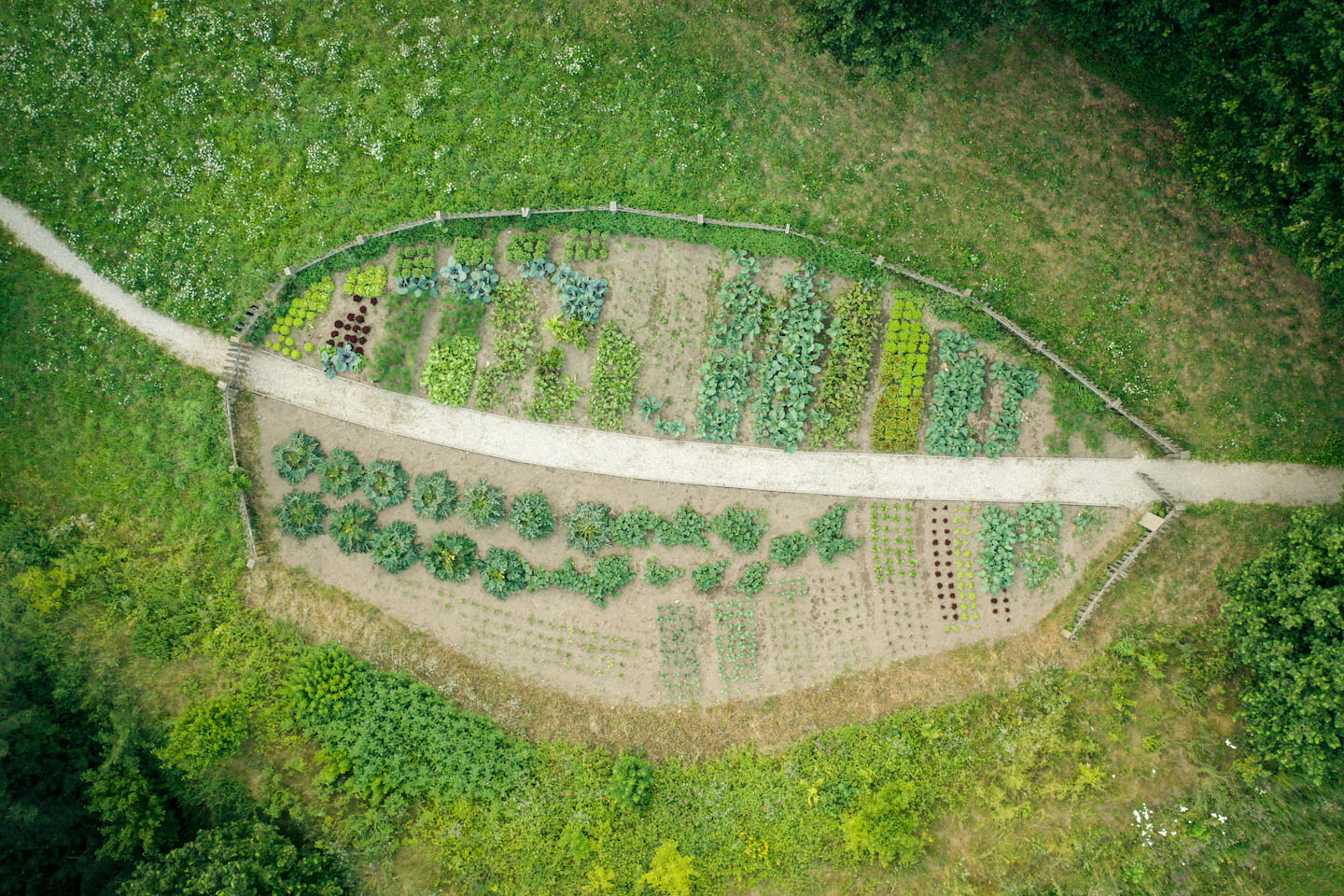 Select Green Hotels Tauber's Bio Vitalhotel vegetable garden