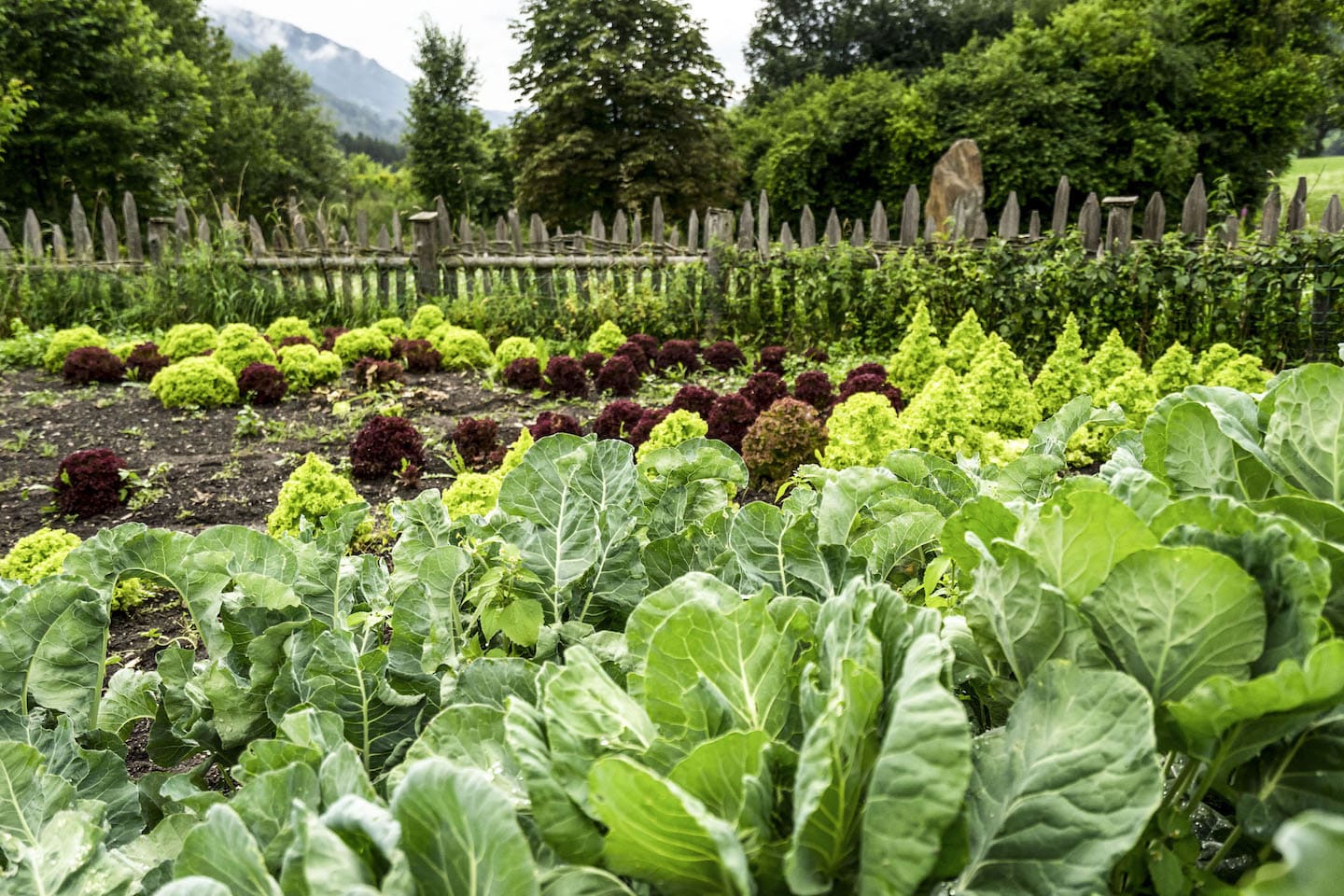 Select Green Hotels Tauber's Bio Vitalhotel vegetable garden