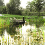 Select Green Hotels Tauber's Bio Vitalhotel