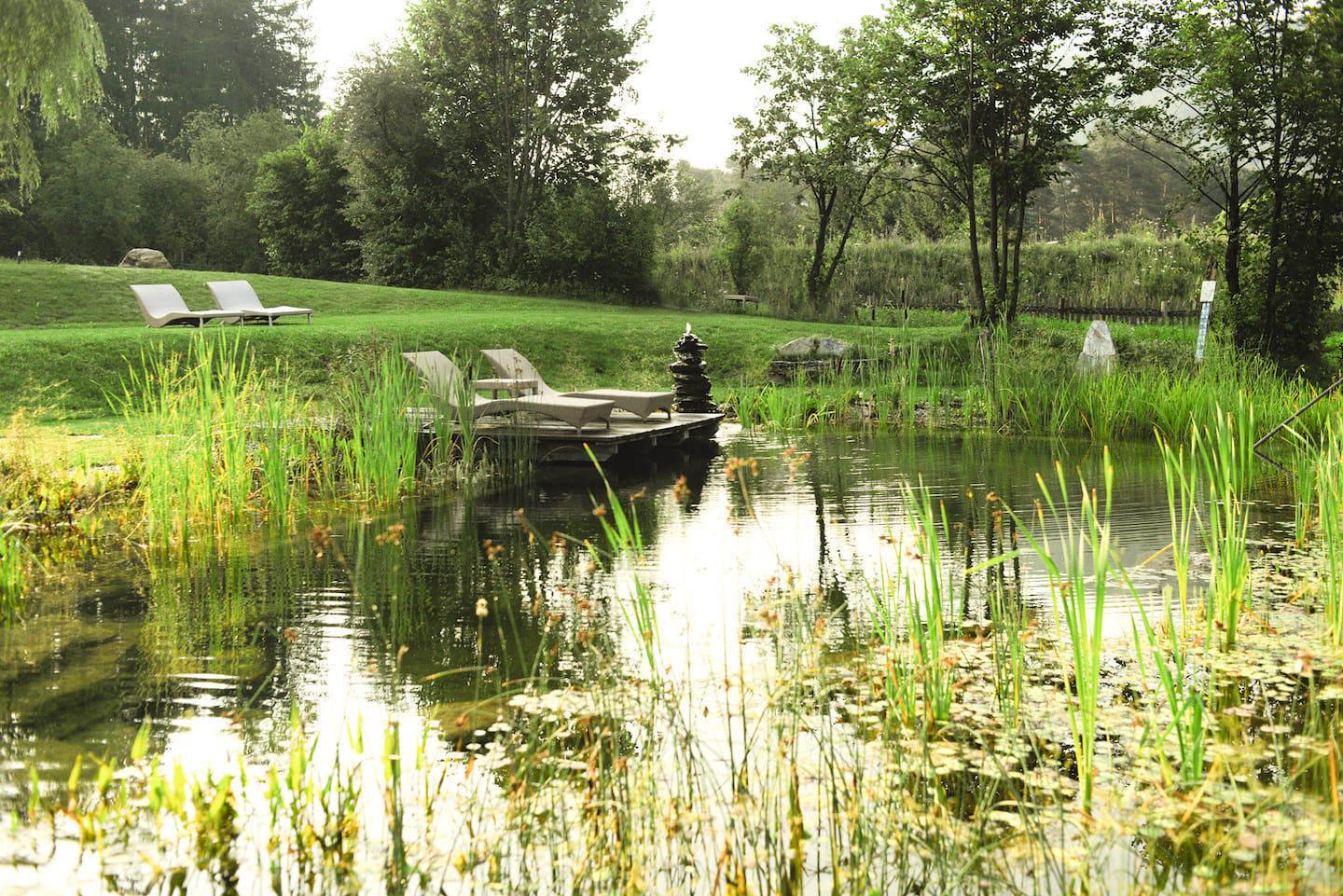 Select Green Hotels Tauber's Bio Vitalhotel garden and pond