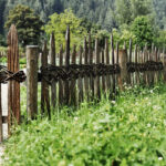 Select Green Hotels Tauber's Bio Vitalhotel