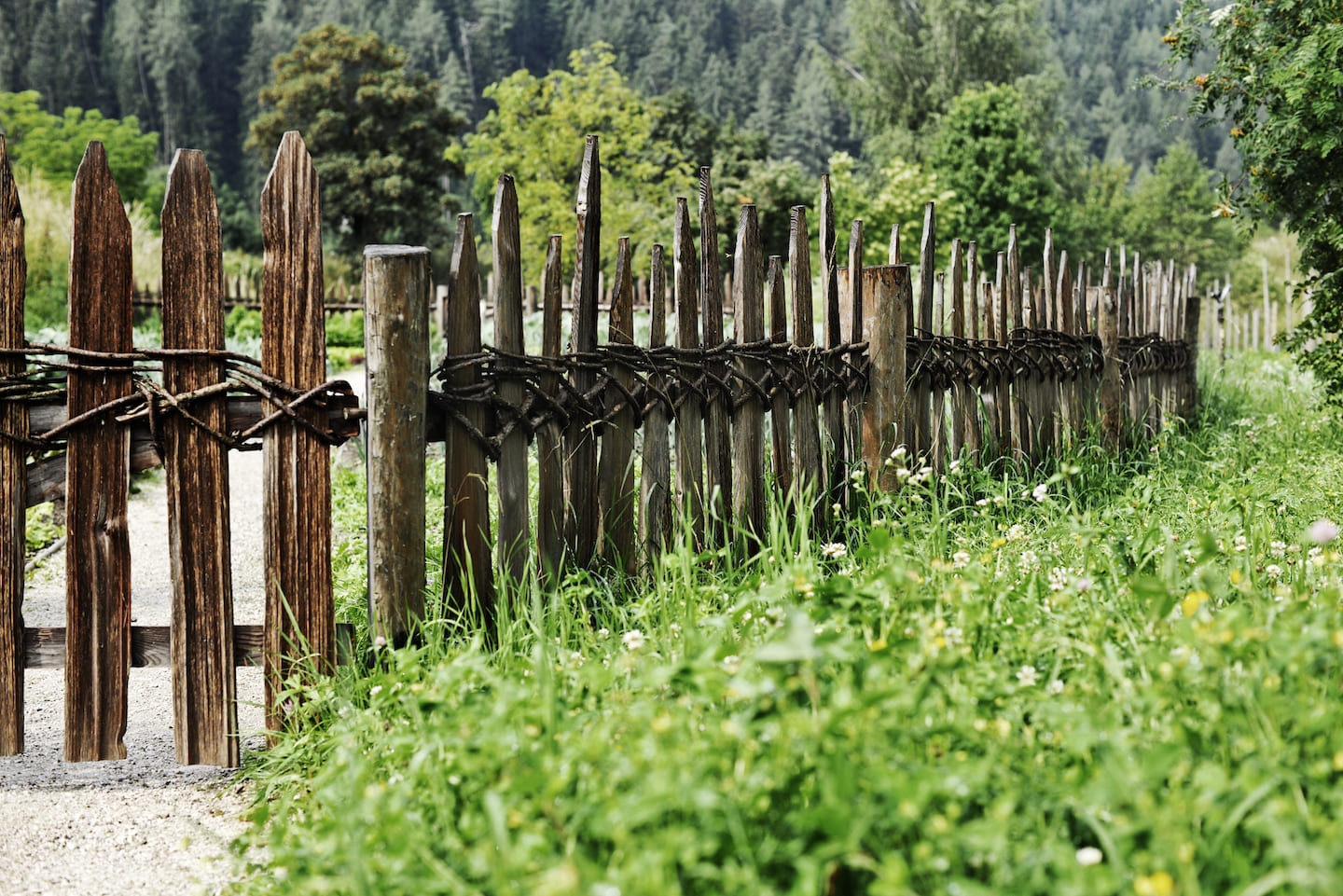 Select Green Hotels Tauber's Bio Vitalhotel garden