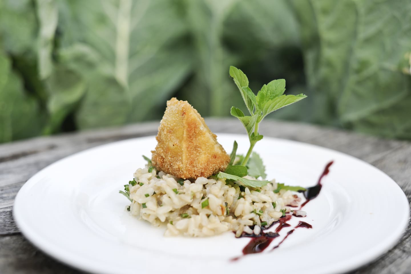 Select Green Hotels Tauber's Bio Vitalhotel healthy food