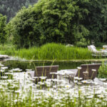 Select Green Hotels Tauber's Bio Vitalhotel garden