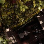 Select Green Hotels Wittmore Hotel