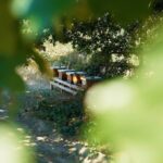 Select Green Hotels Luchs Lindenberg