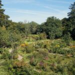 Select Green Hotels Luchs Lindenberg