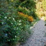 Select Green Hotels Luchs Lindenberg