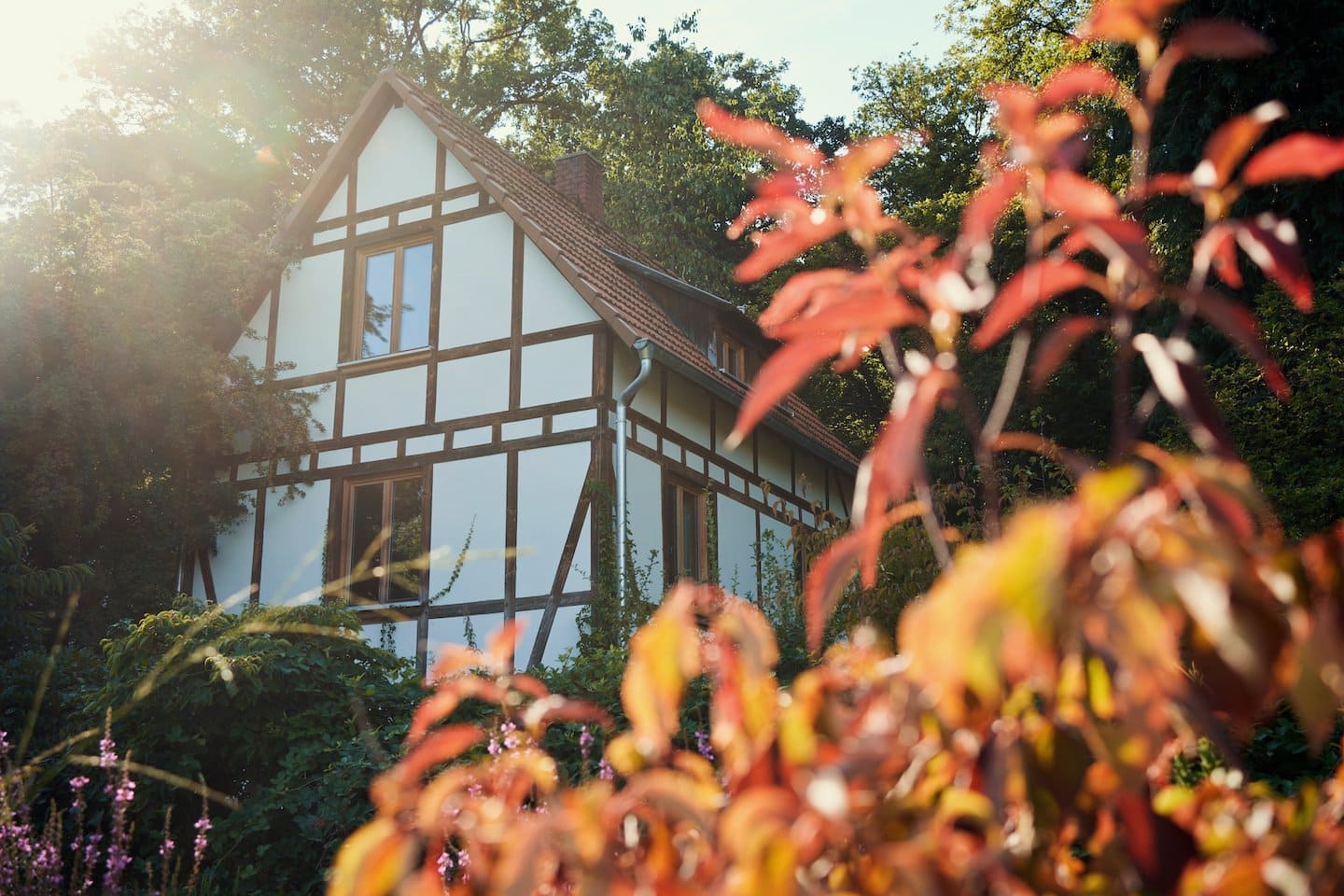 Select Green Hotels Luchs Lindenberg