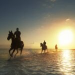 Select Green Hotels LUX* Belle Mare Strand reiten Pferde