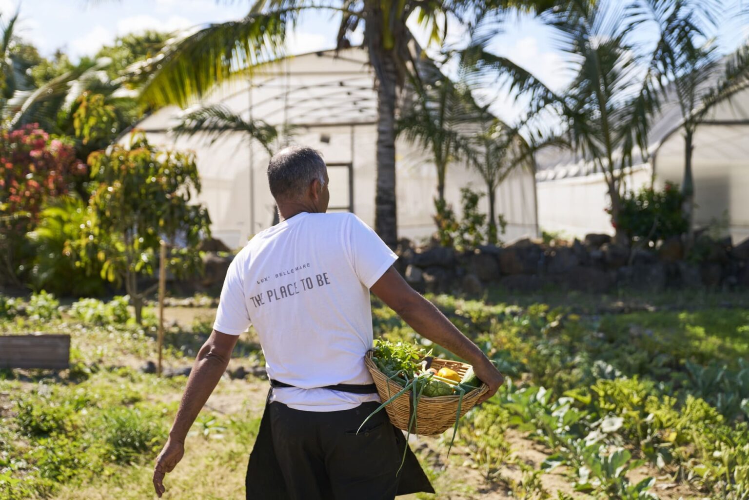 Select Green Hotels LUX* Belle Mare