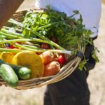 Select Green Hotels LUX* Belle Mare