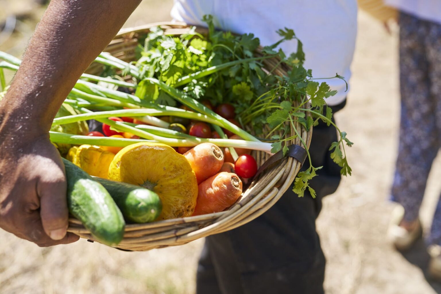 Select Green Hotels LUX* Belle Mare