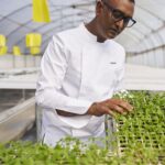 Select Green Hotels LUX* Belle Mare frische Küche