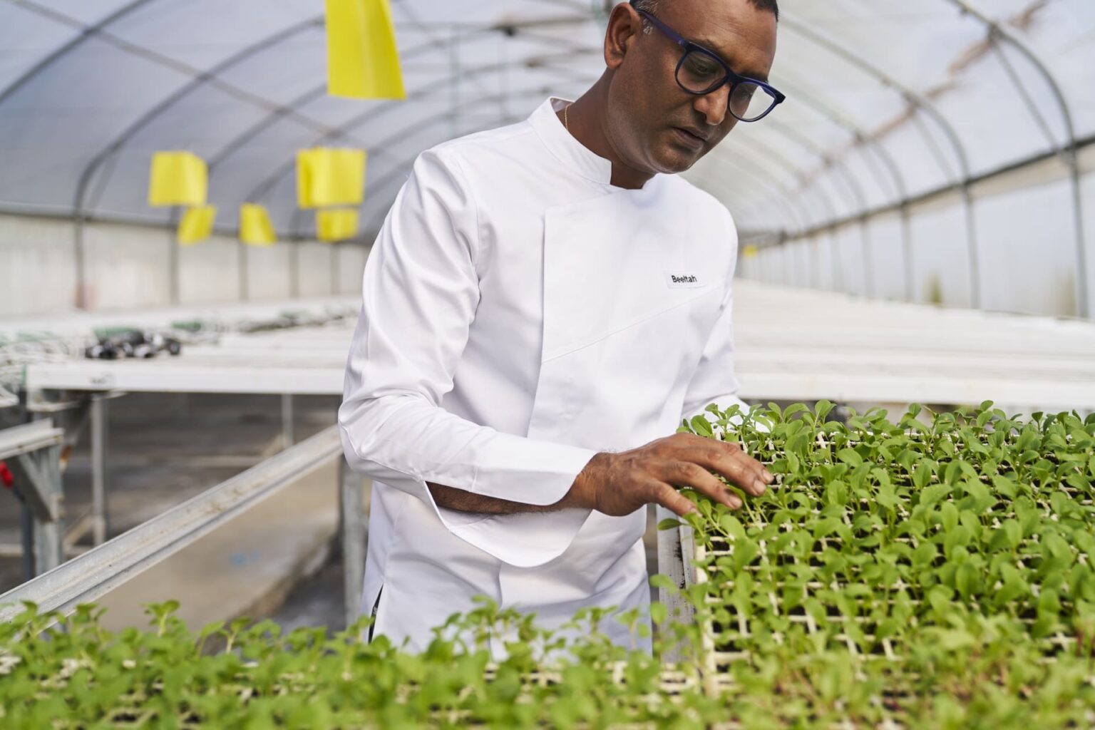 Select Green Hotels LUX* Belle Mare frische Küche