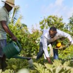 Select Green Hotels LUX* Belle Mare