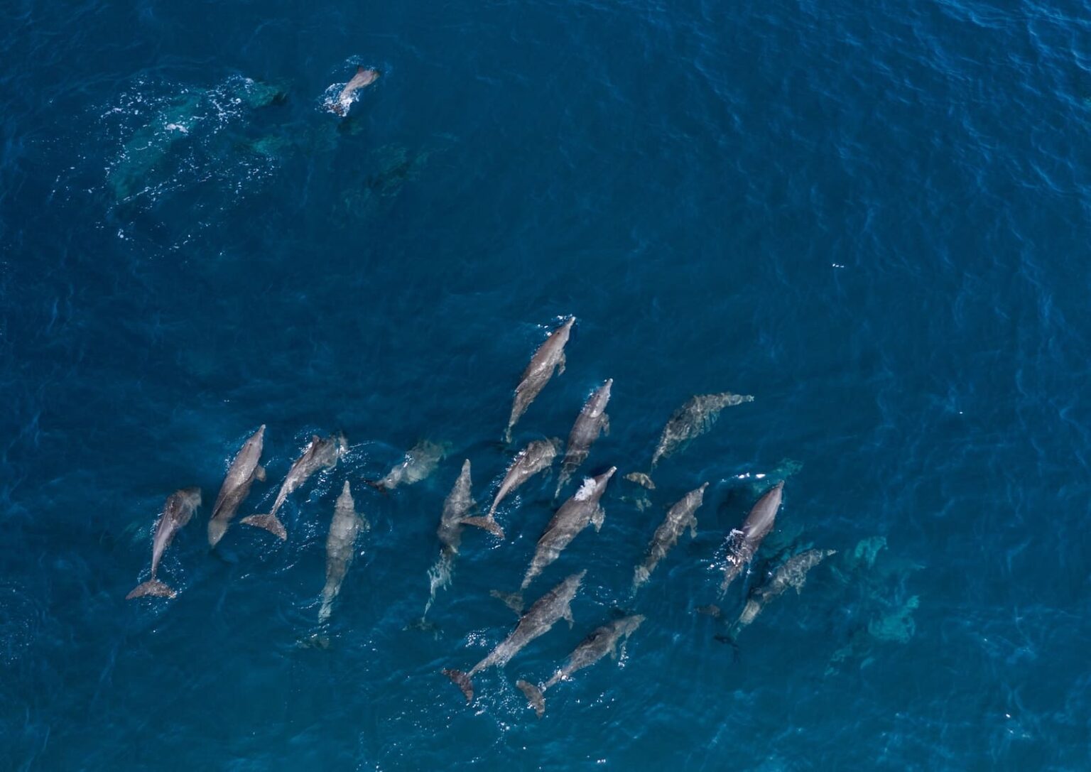 Select Green Hotels LUX Le Morne Delphine