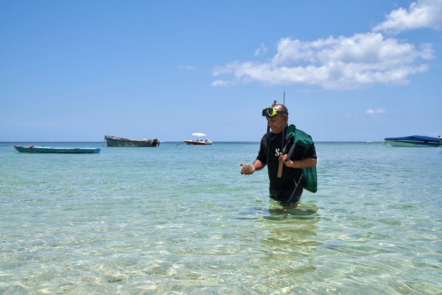 Select Green Hotels LUX Le Morne tauchen