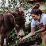 Select Green Hotels Mea Via - the Slow Farm Hotel