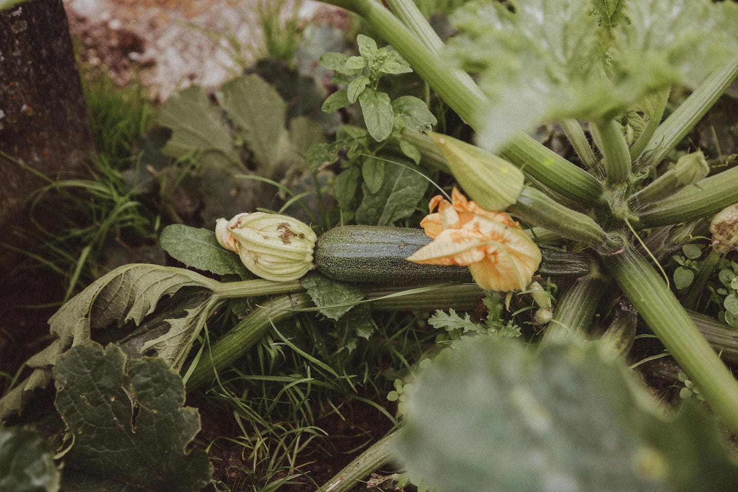 Select Green Hotels Mea Via - the Slow Farm Hotel