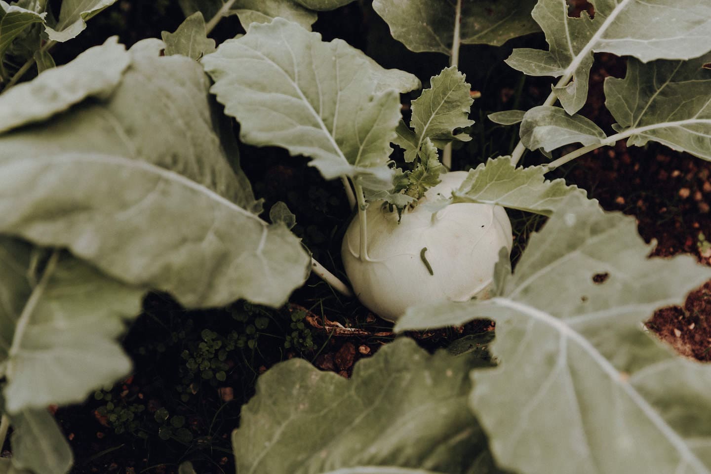 Select Green Hotels Mea Via - the Slow Farm Hotel