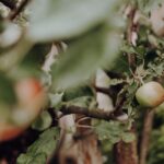 Select Green Hotels Mea Via - the Slow Farm Hotel