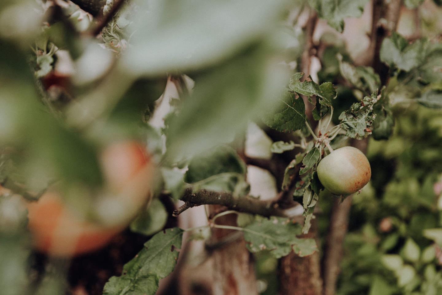 Select Green Hotels Mea Via - the Slow Farm Hotel