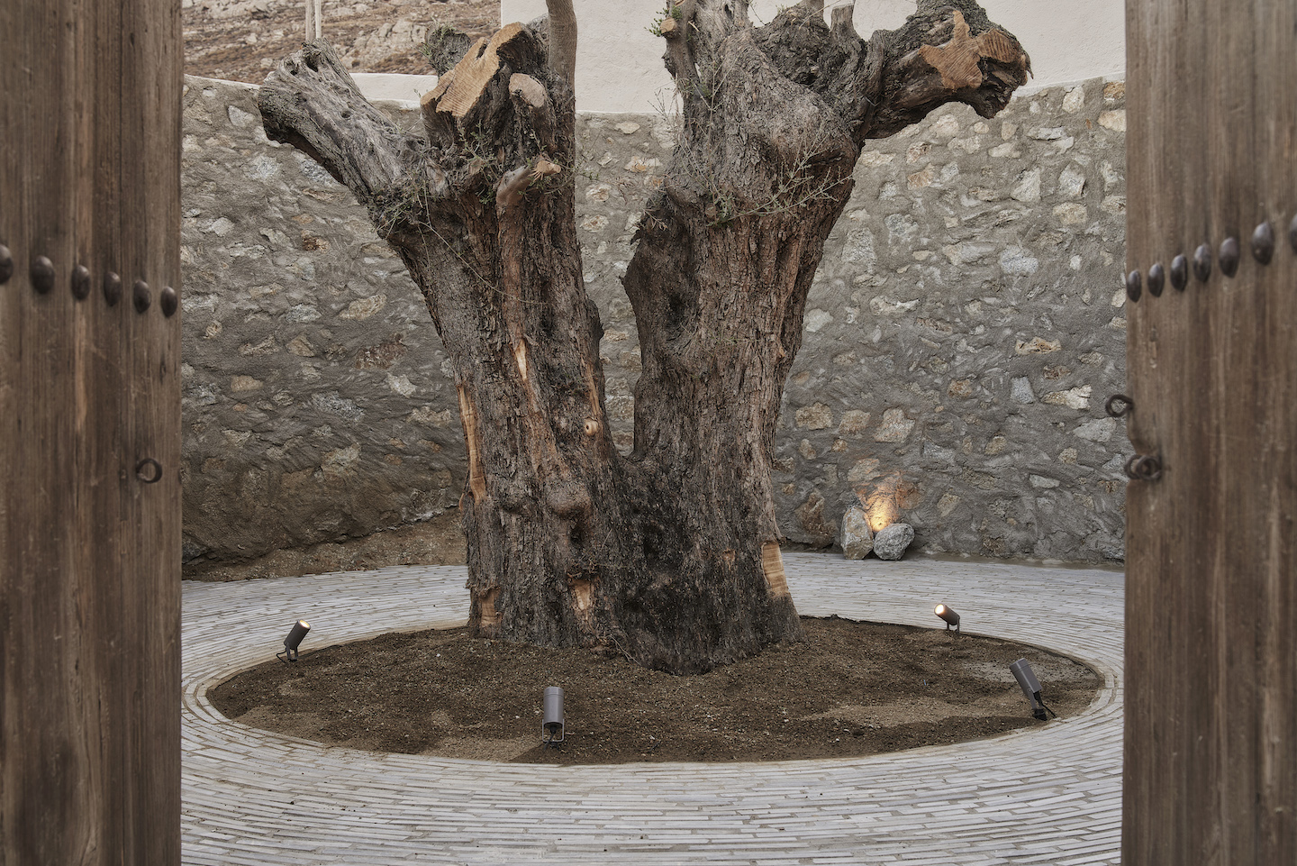 Select Green Hotels Nomad Mykonos Olivenbaum