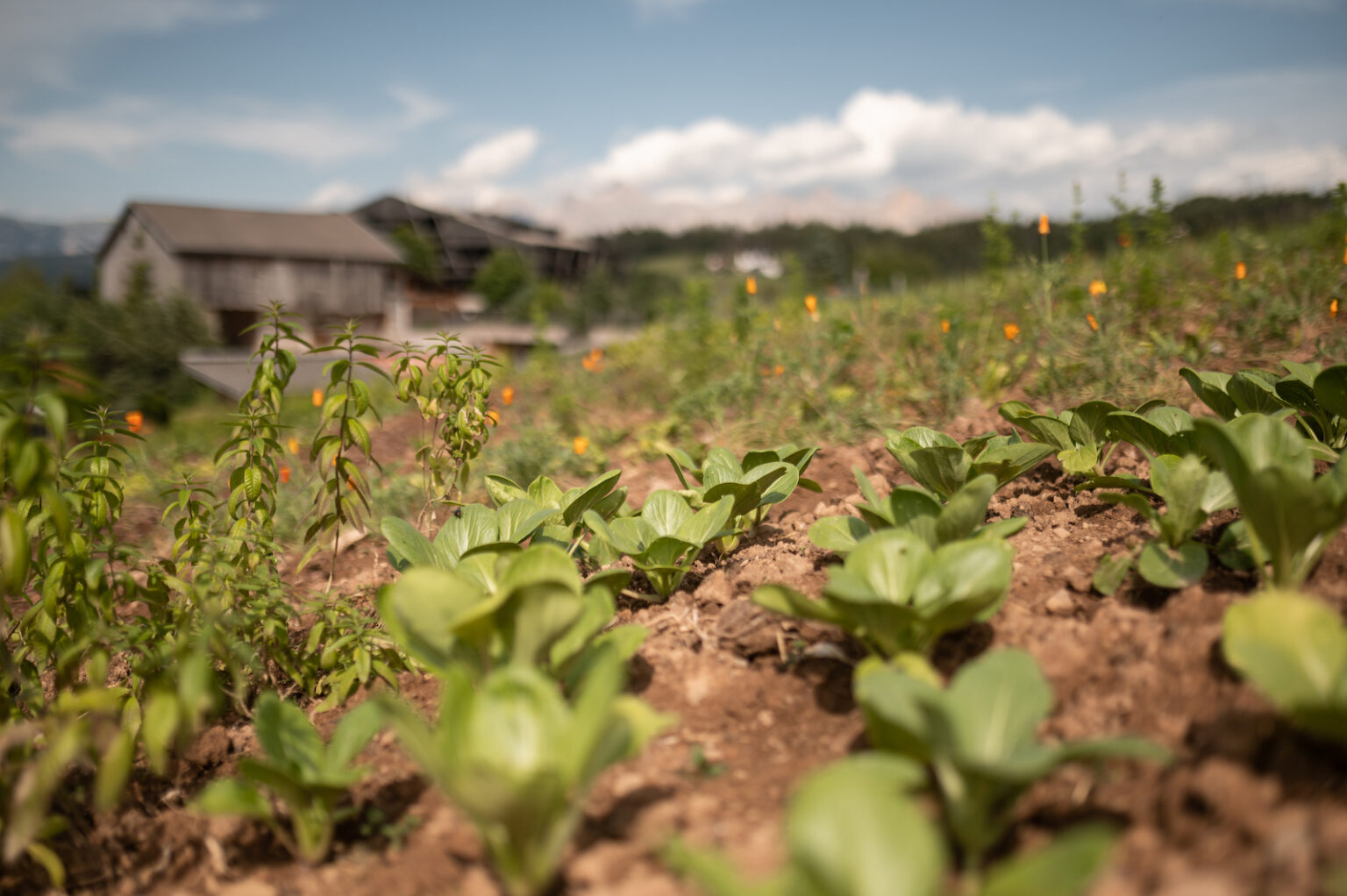 Select Green Hotels Naturhotel Pfösl Südtirol Dolomiten