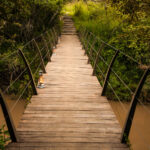 Select Green Hotels Sala's Camp - Masai Mara bridge forest