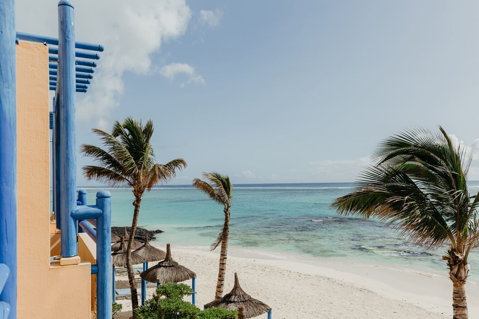 Select Green Hotels SALT of Palmar palm trees ocean