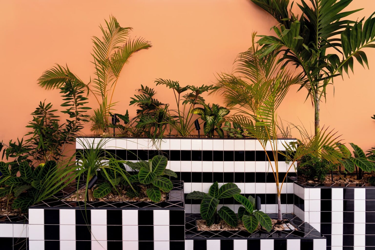 Select Green Hotels SALT of Palmar vegetation details