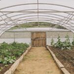 Select Green Hotels Santa Bárbara Eco-Beach Resort vegetable garden