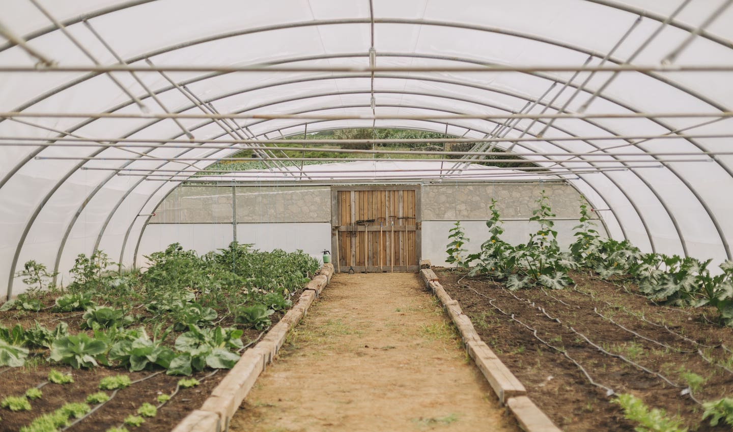 Select Green Hotels Santa Bárbara Eco-Beach Resort vegetable garden