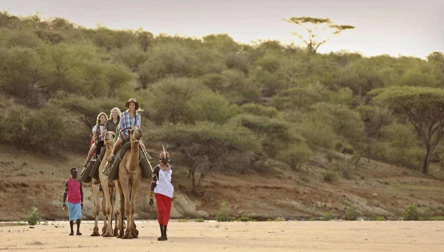 Select Green Hotels Sasaab Safari Lodge camels