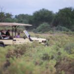 Select Green Hotels Sasaab Safari Lodge nature