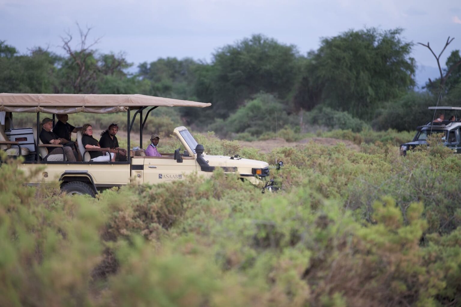 Select Green Hotels Sasaab Safari Lodge nature