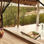 Select Green Hotels Sasaab Safari Lodge private swimming pool