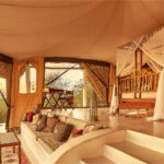 Select Green Hotels Sasaab Safari Lodge room