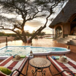 Select Green Hotels Sasaab Safari Lodge private swimming pool