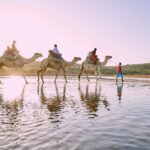 Select Green Hotels Sasaab Safari Lodge camels