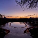 Select Green Hotels Sasaab Safari Lodge swimming pool sunset