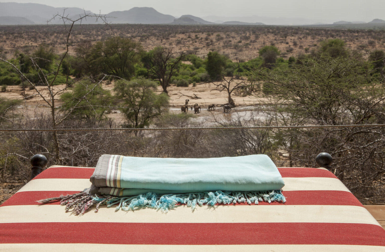 Select Green Hotels Sasaab Safari Lodge nature animals