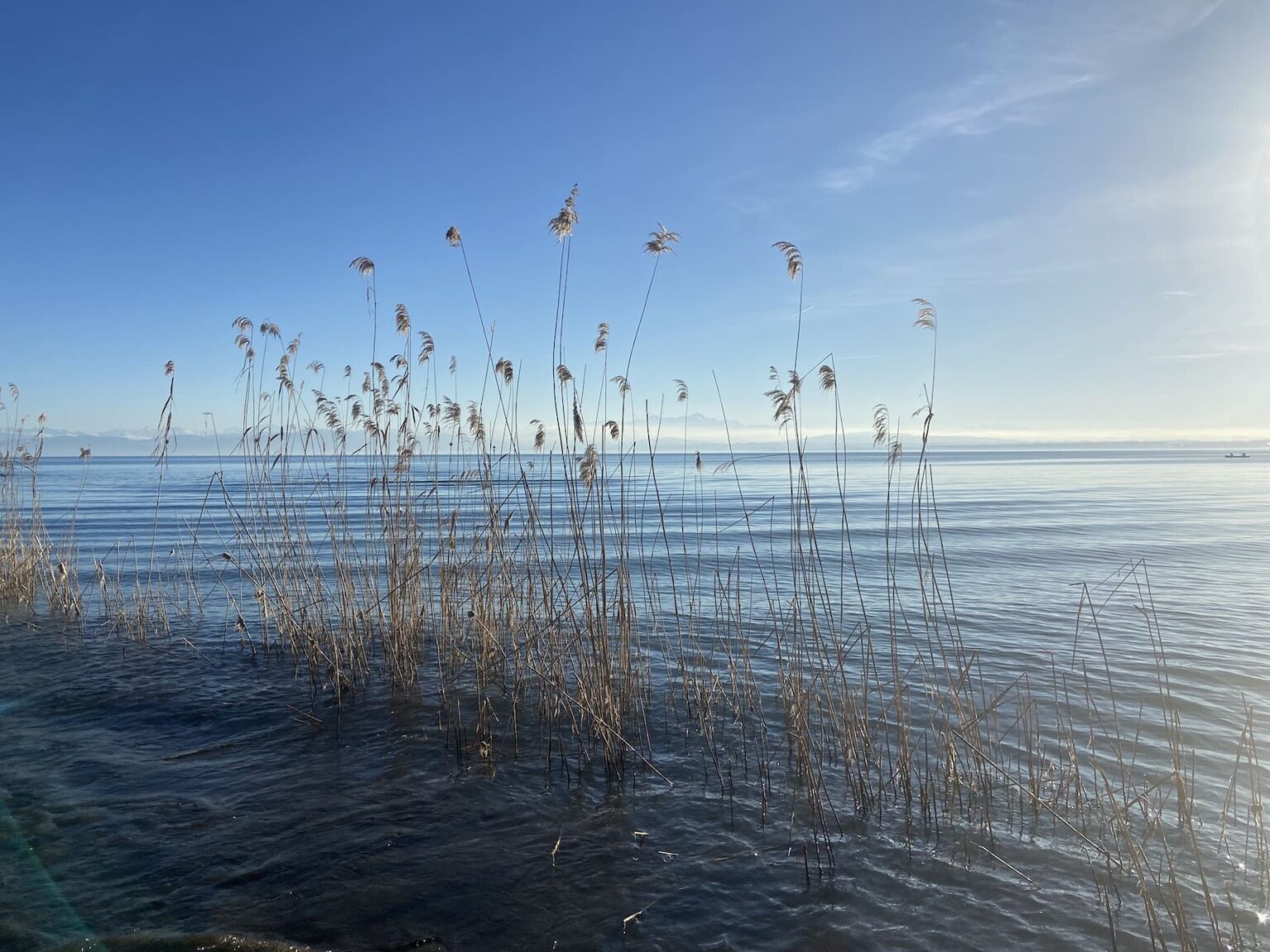 Select Green Hotels Seegut Zeppelin exterior nature